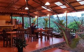 Cabinas Pura Vida B&B Tour Operator